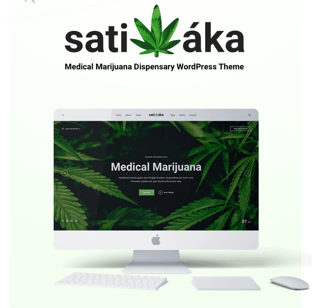 13 Best WordPress Themes for Cannabis Companies 4