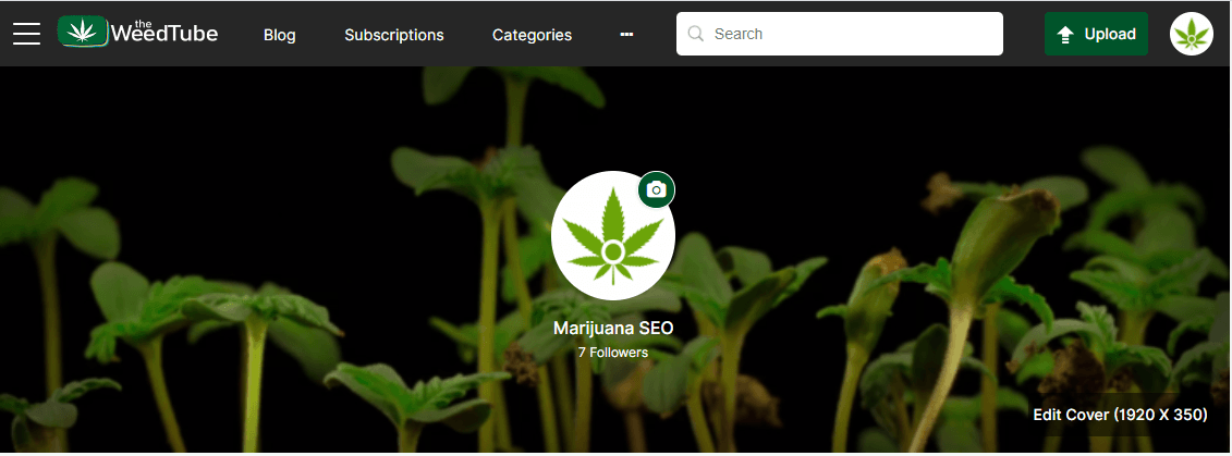 the weedtube marijuana seo profile